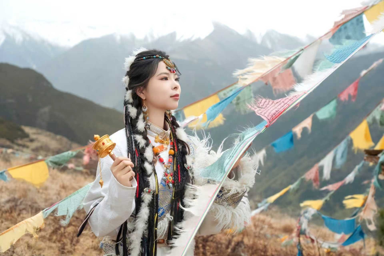 图片